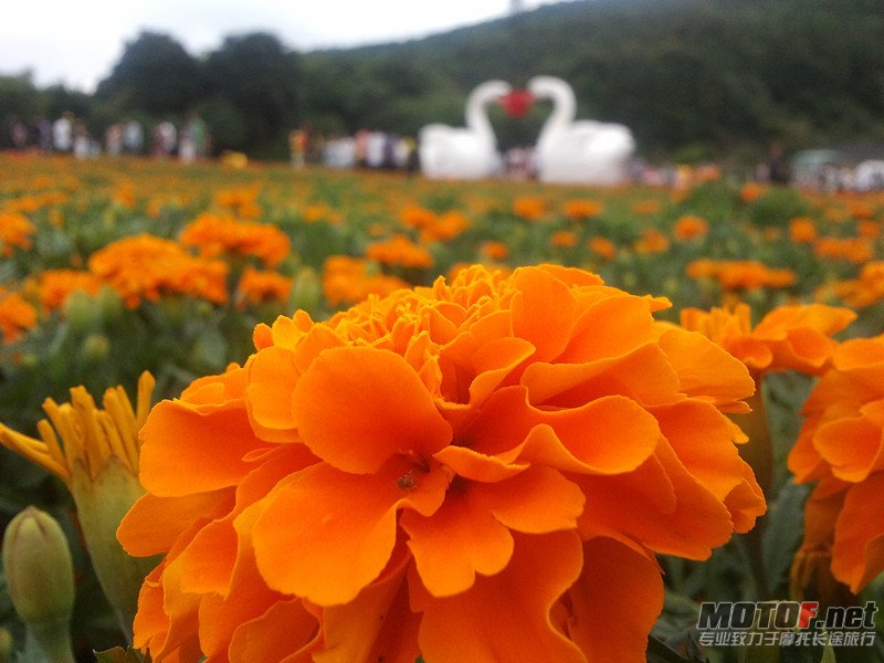 2011-10-02 14.31.01_副本.jpg