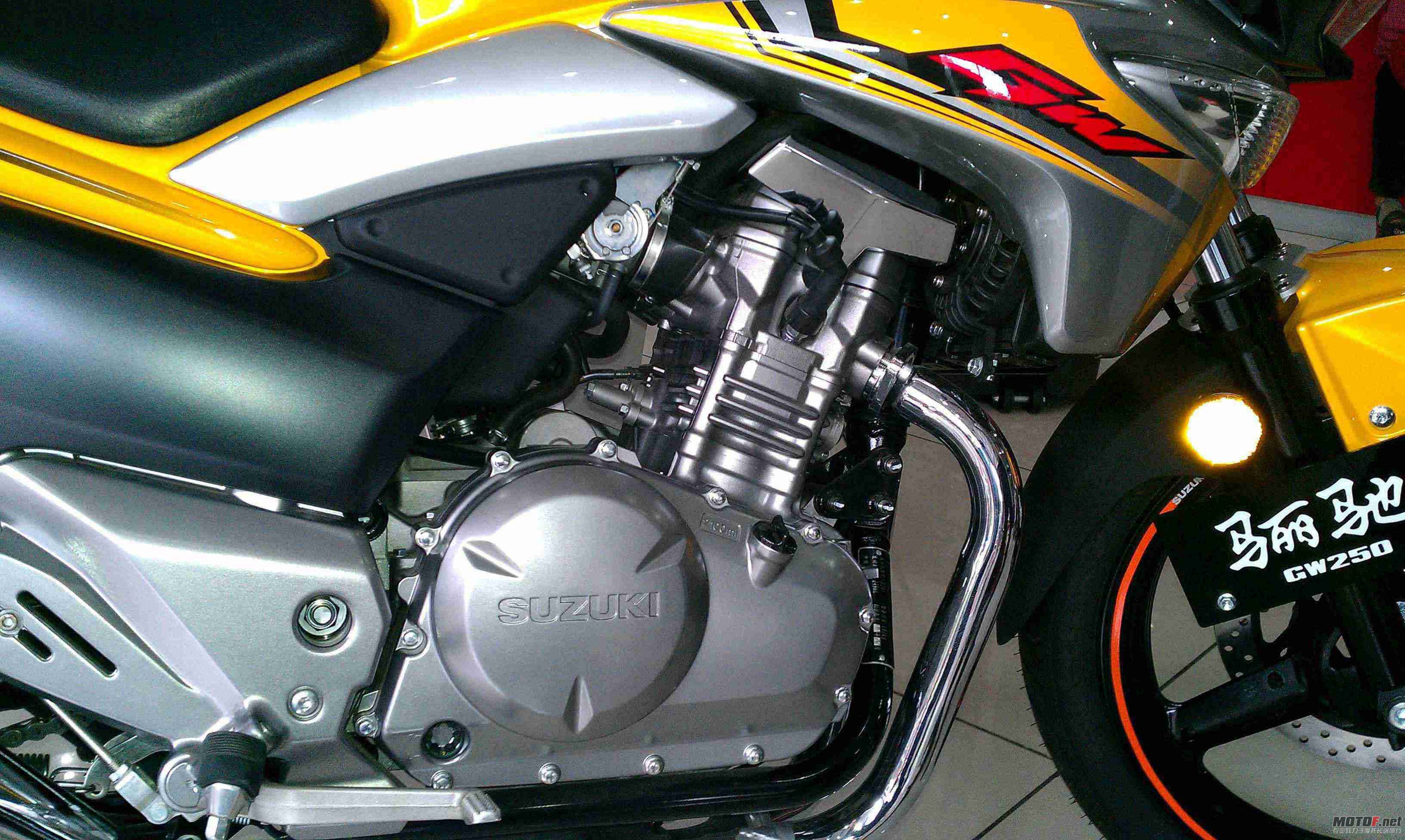 IMAG0040.jpg