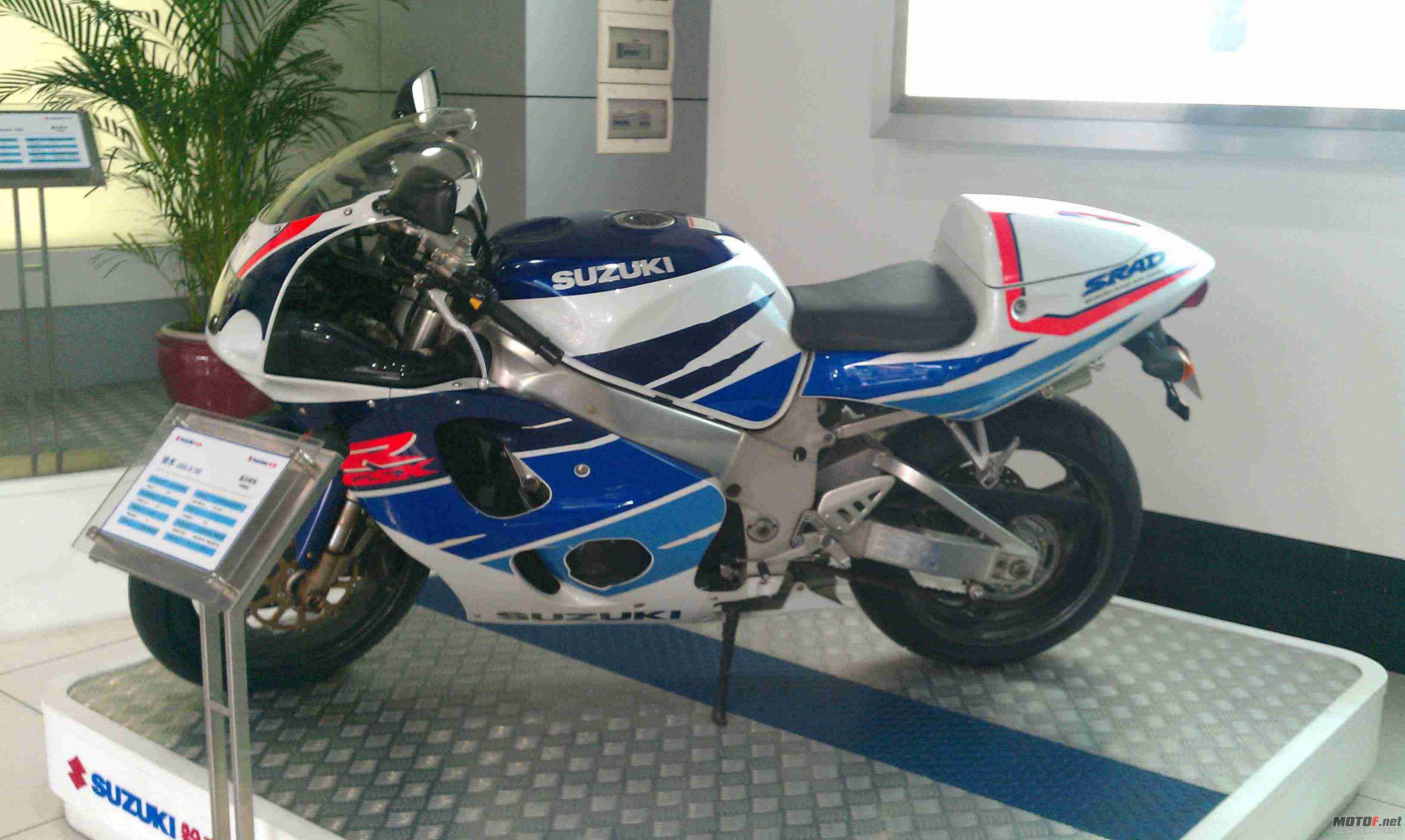 IMAG0050.jpg