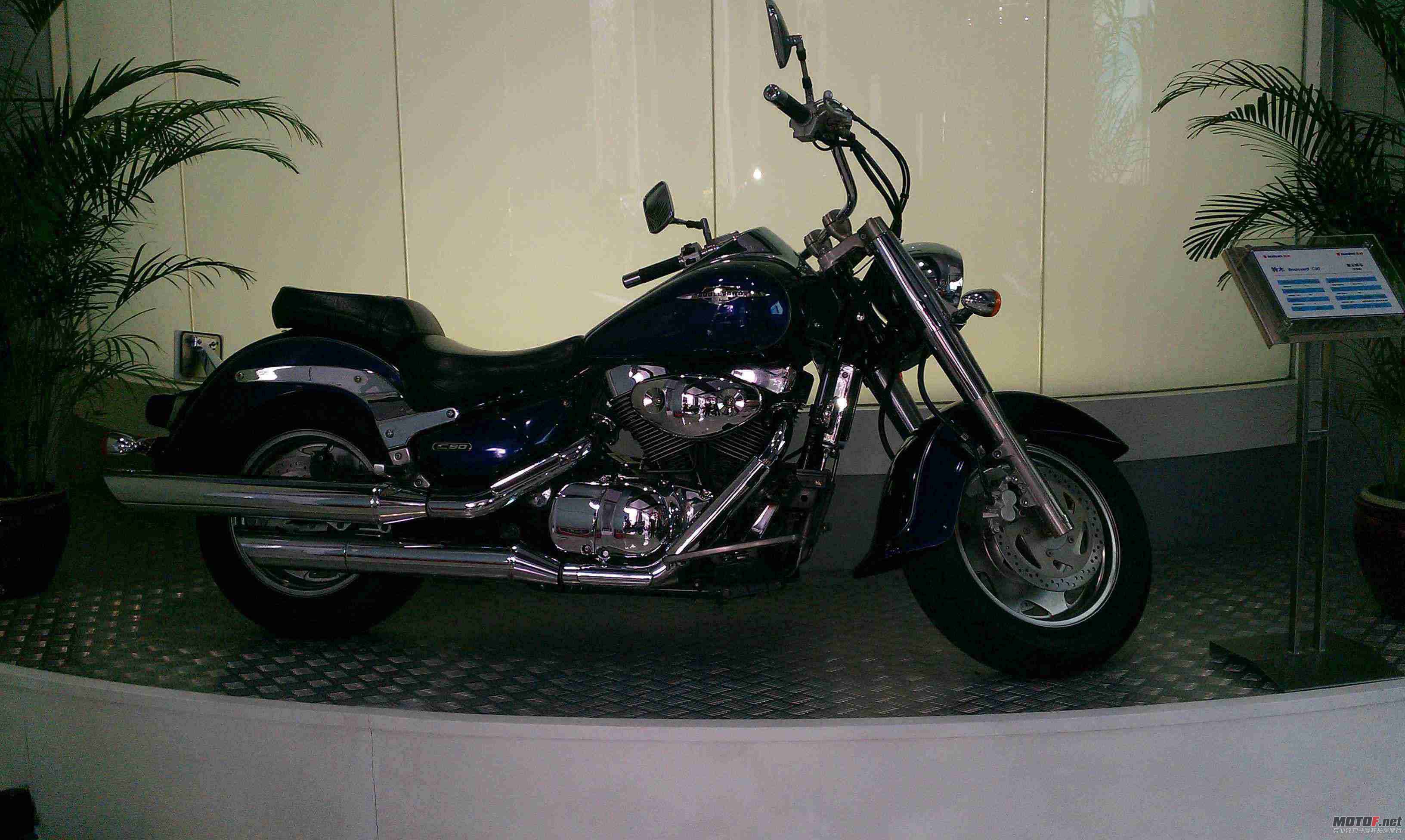 IMAG0051.jpg