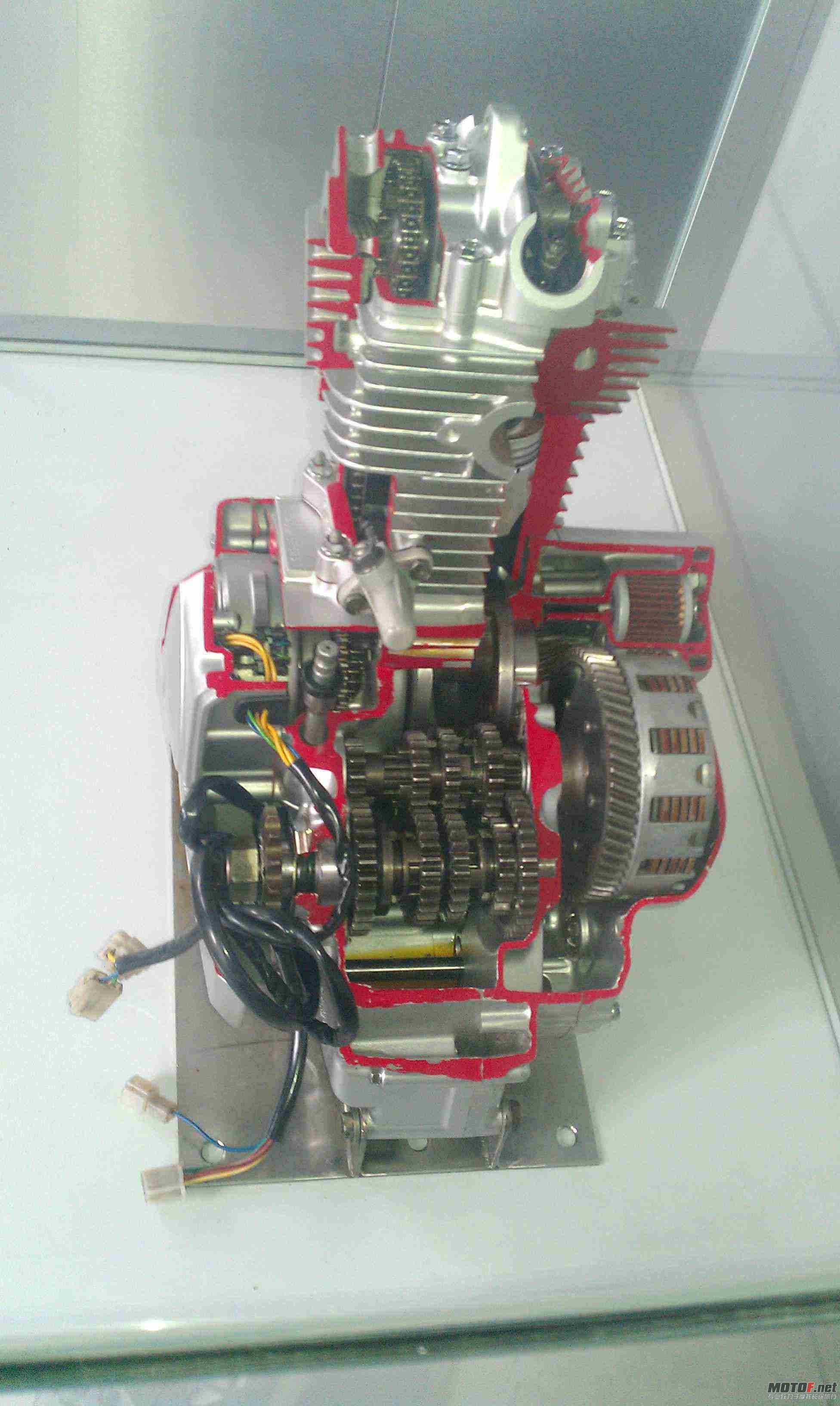 IMAG0054.jpg