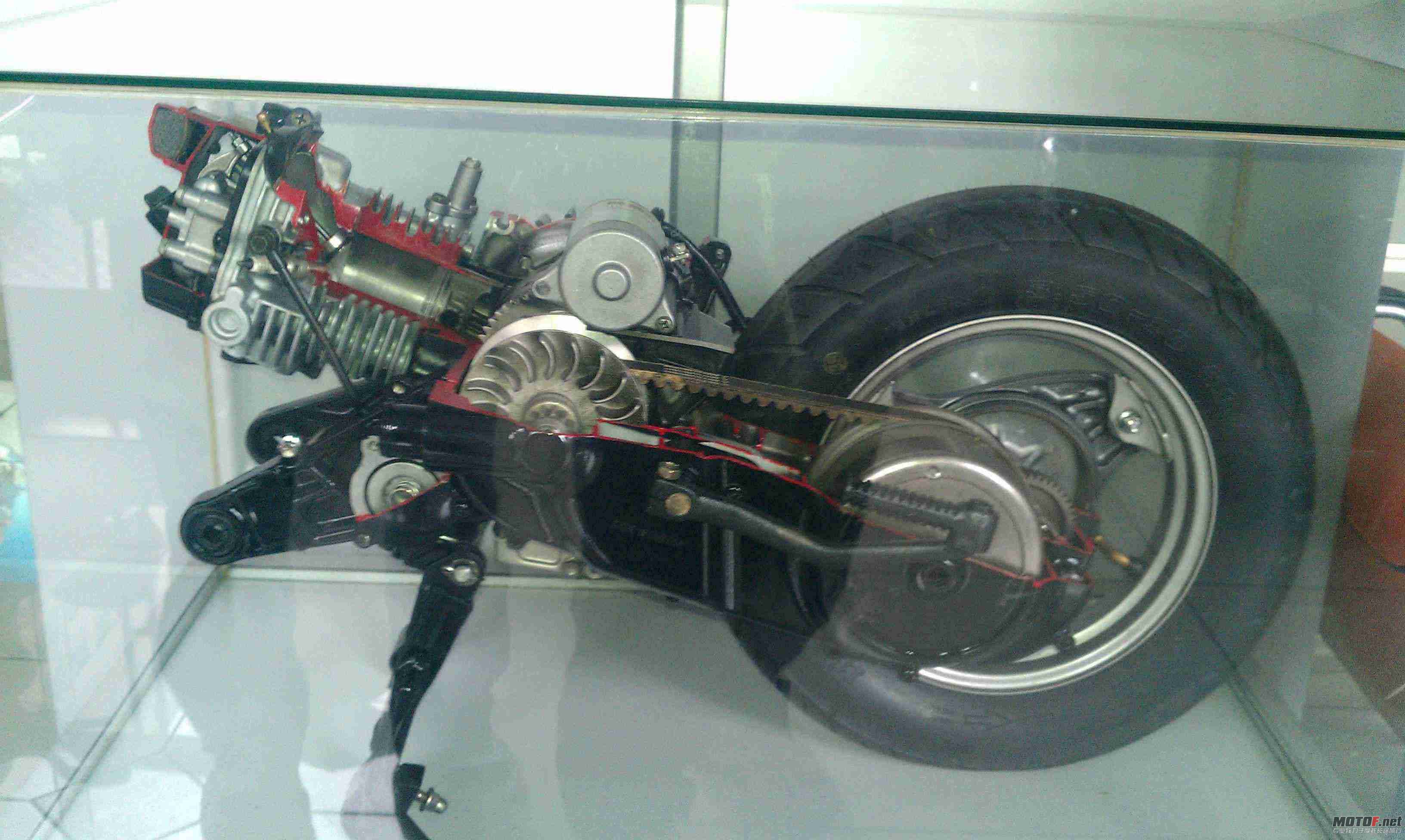IMAG0055.jpg