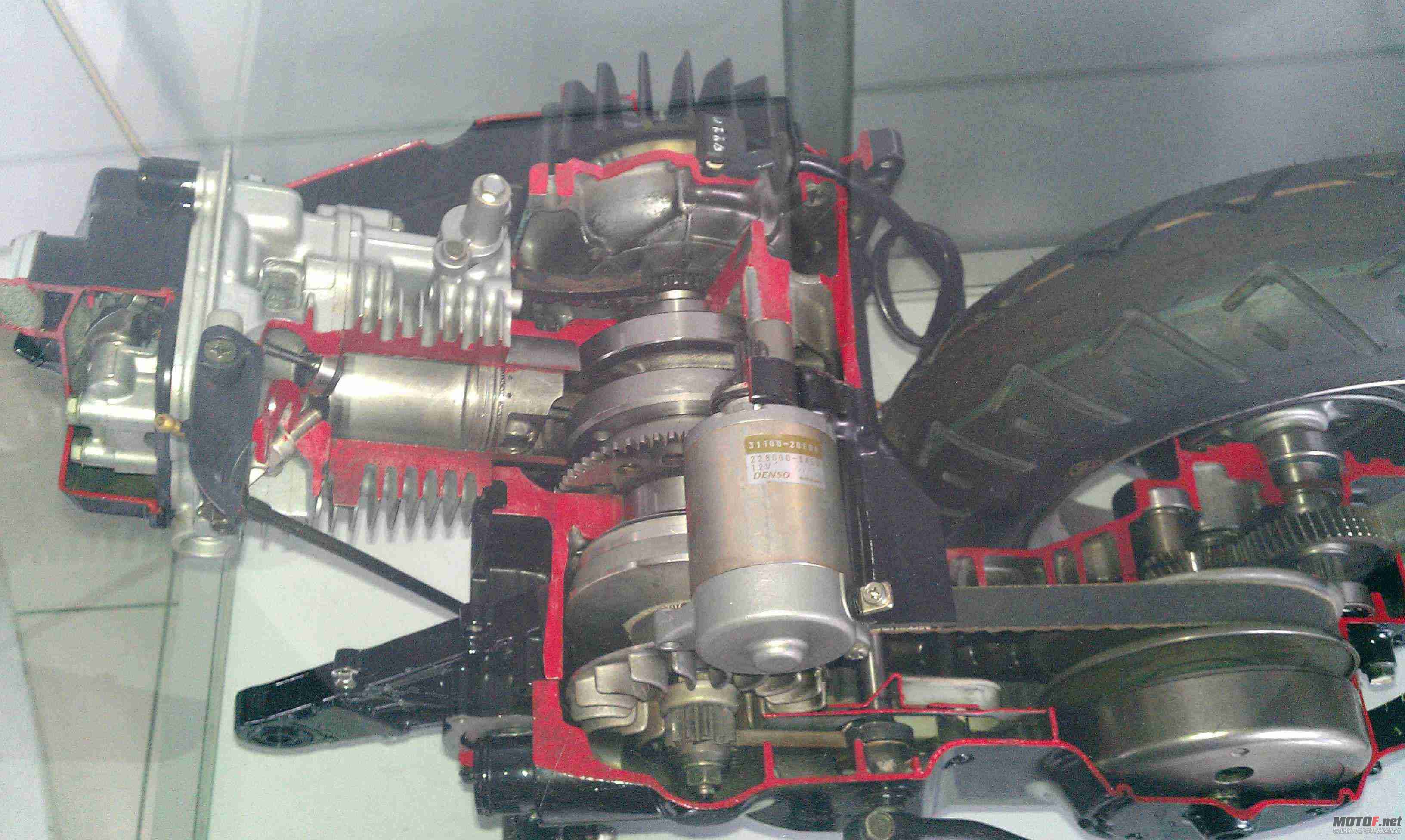 IMAG0056.jpg