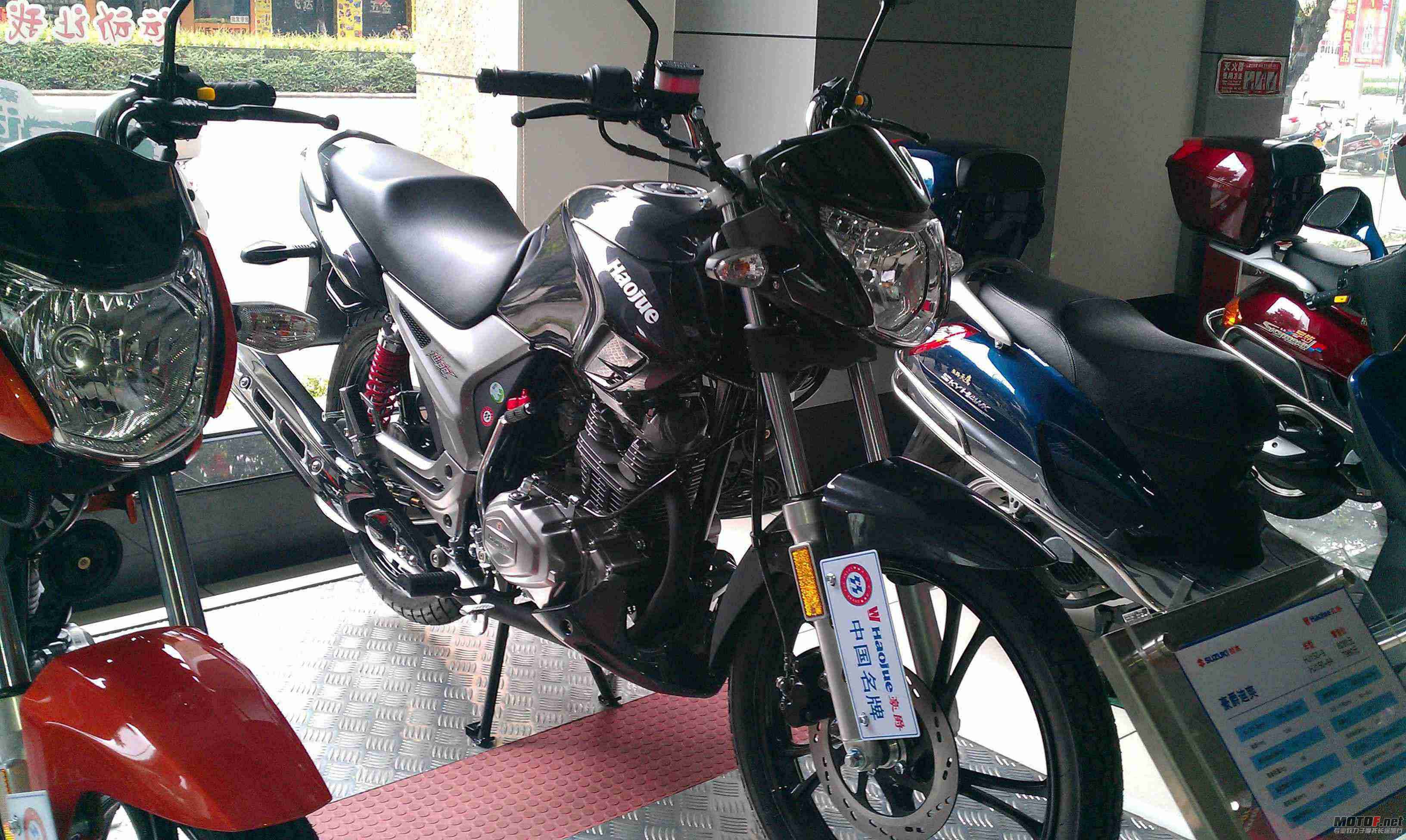 IMAG0062.jpg