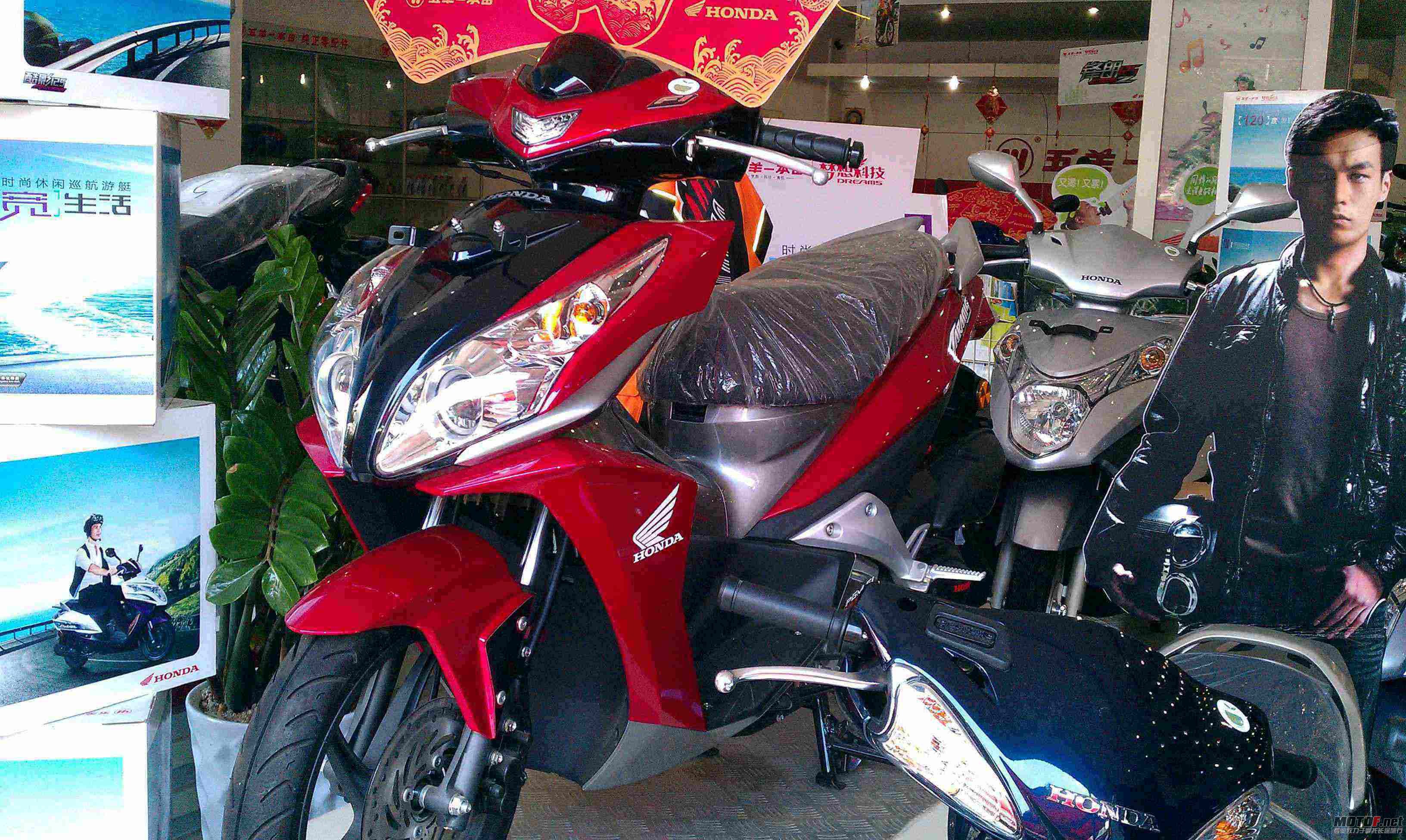 IMAG0091.jpg