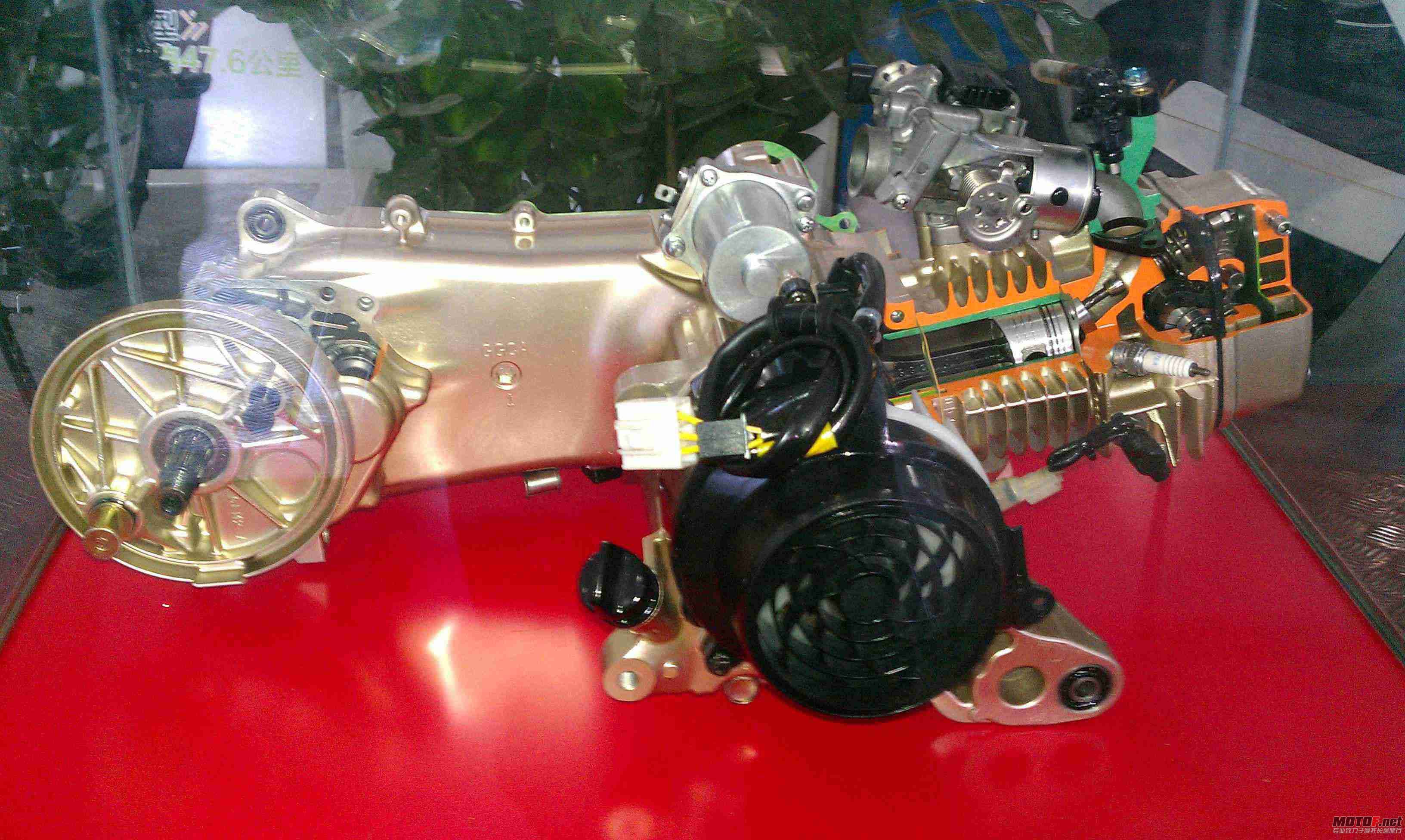 IMAG0093.jpg