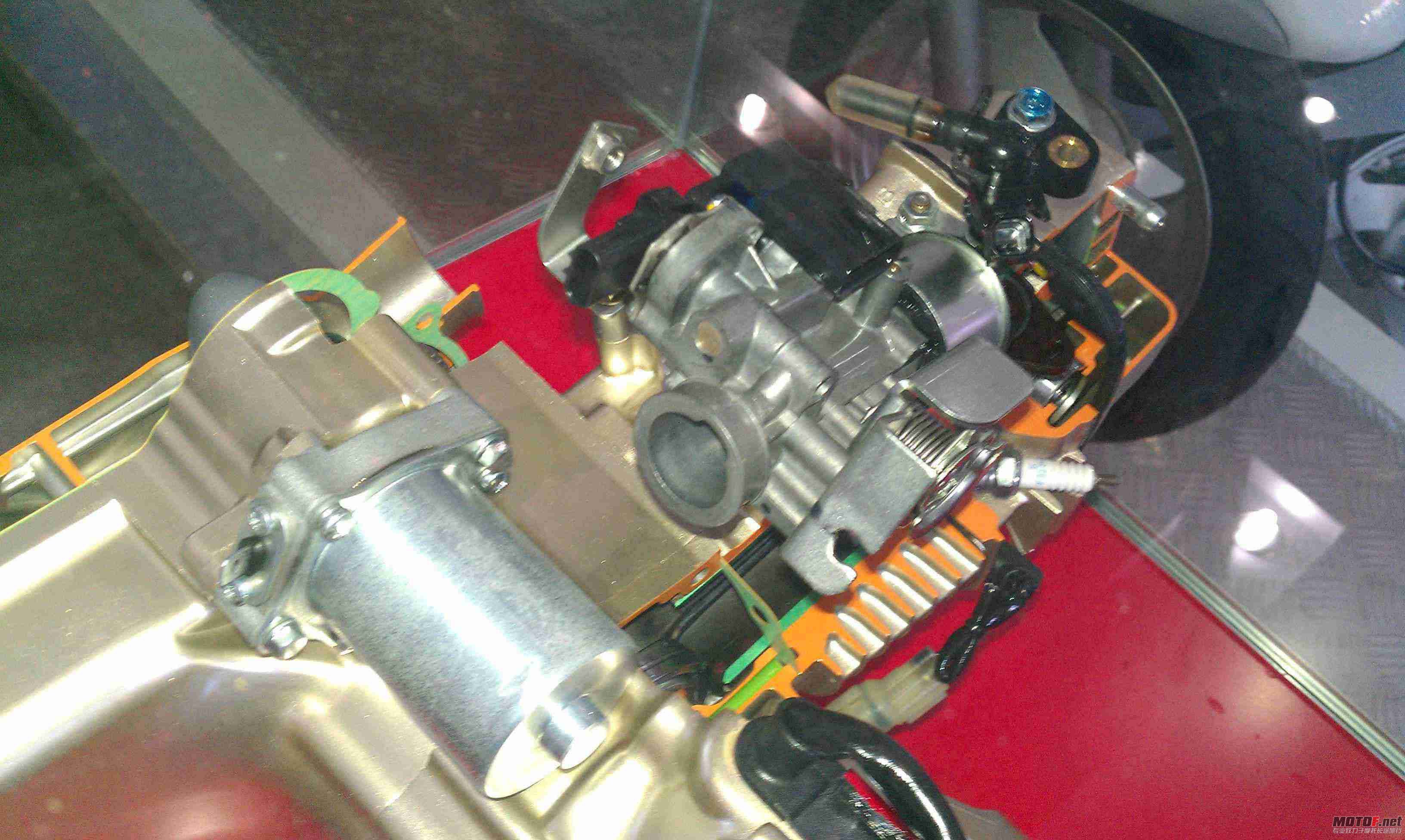 IMAG0094.jpg