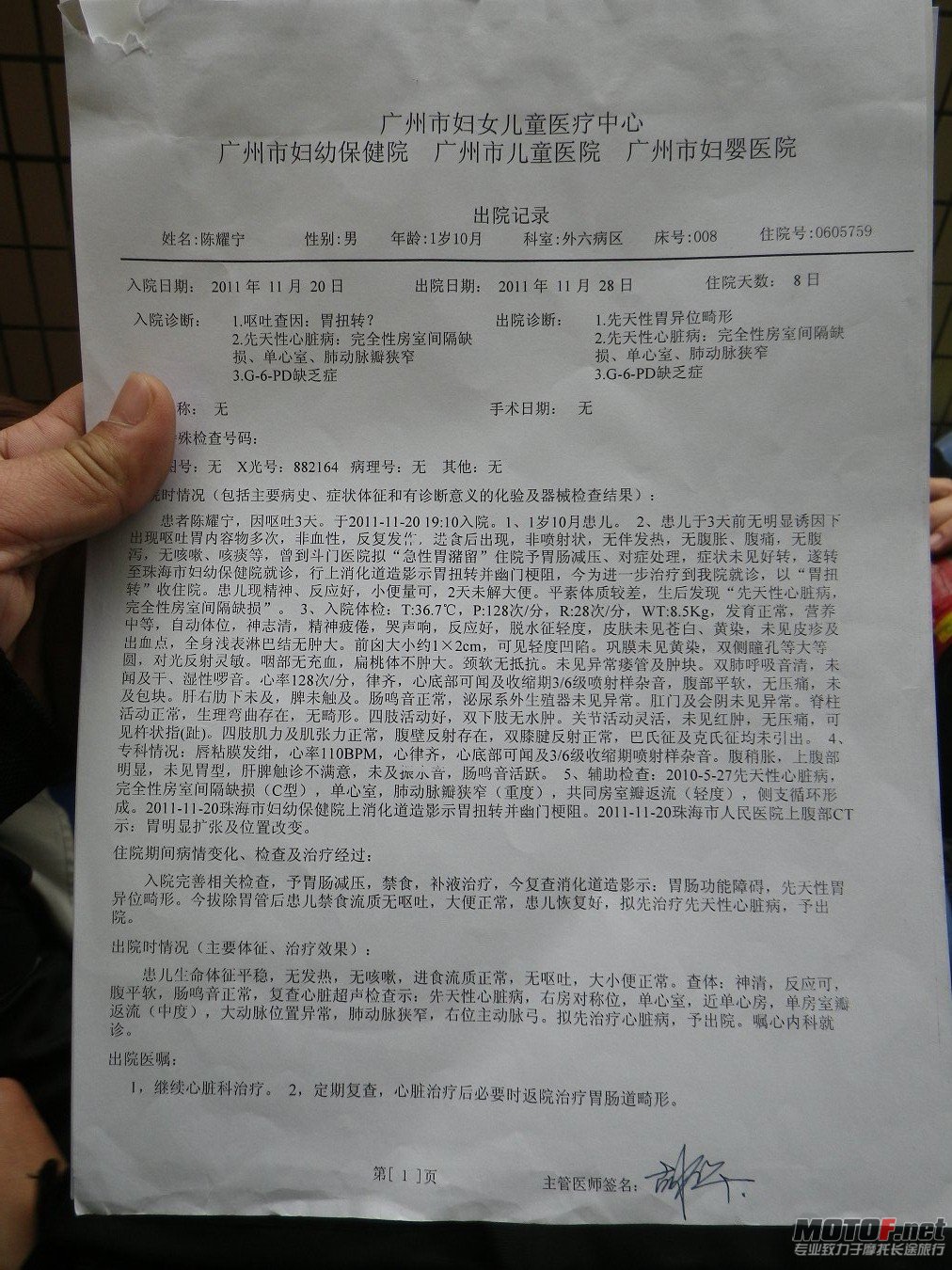 IMGP2196.JPG