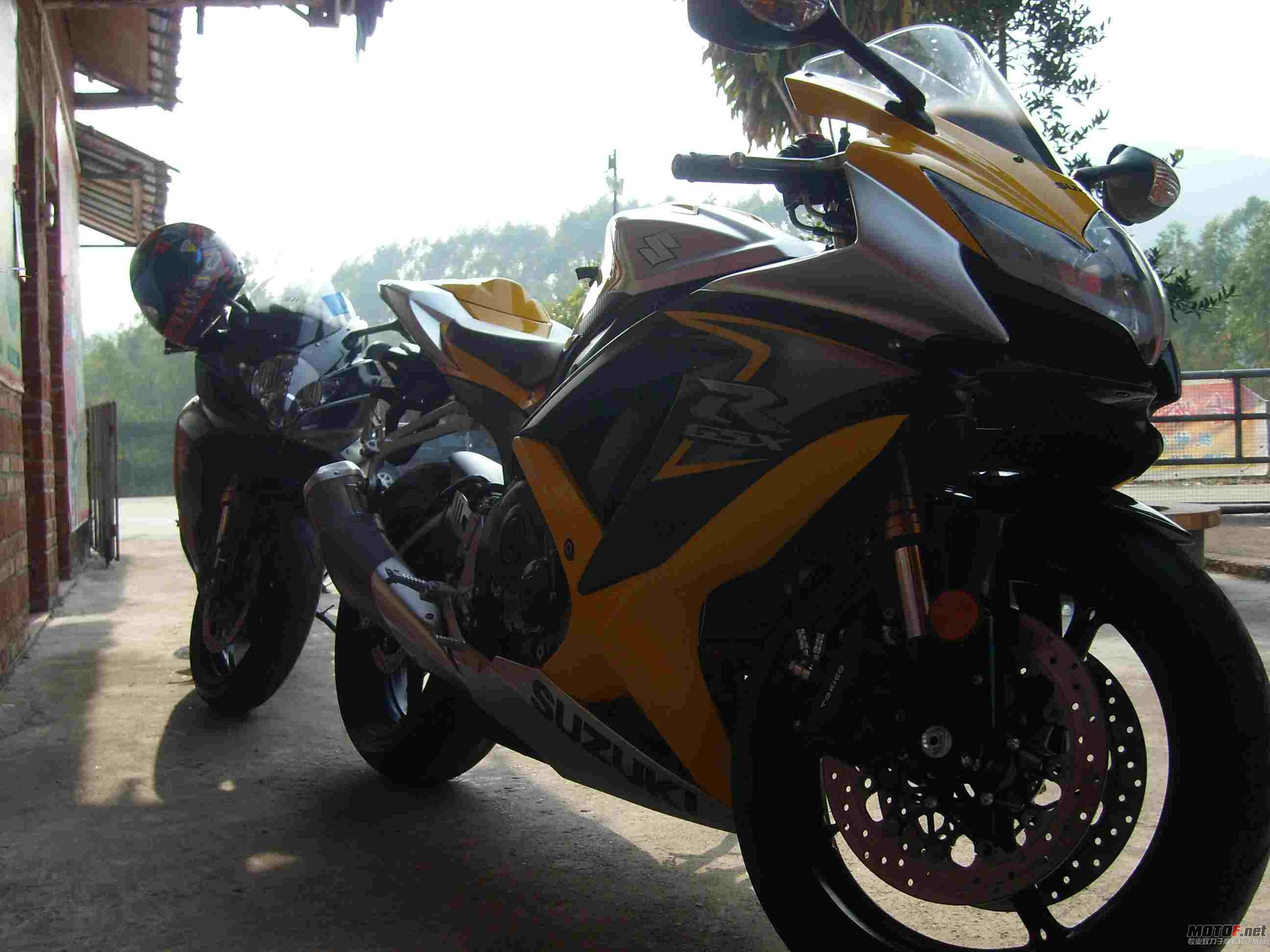 SL732663.jpg