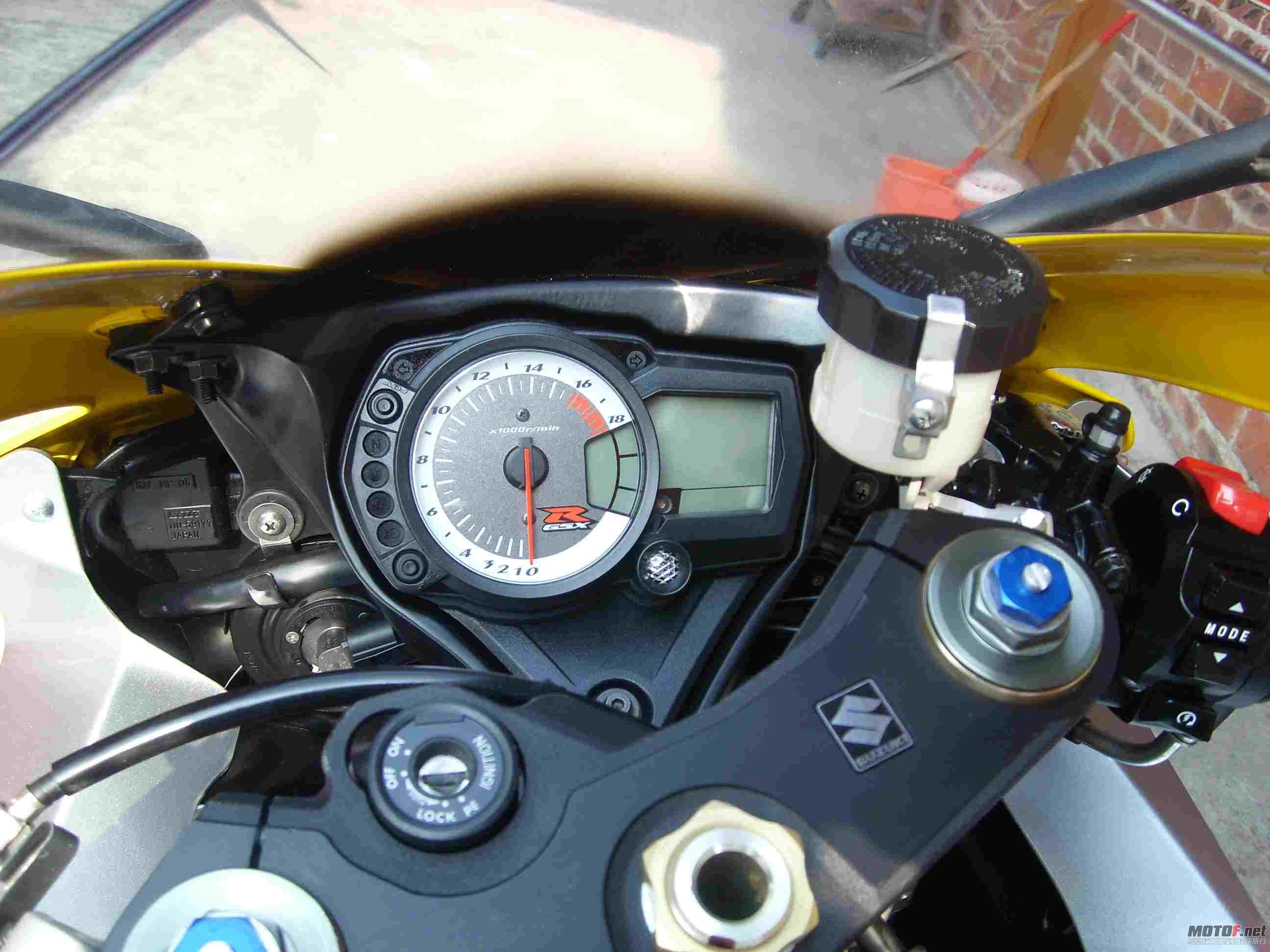 SL732664.jpg