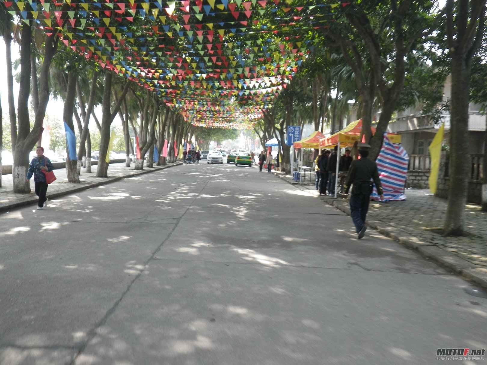 IMGP2248.JPG