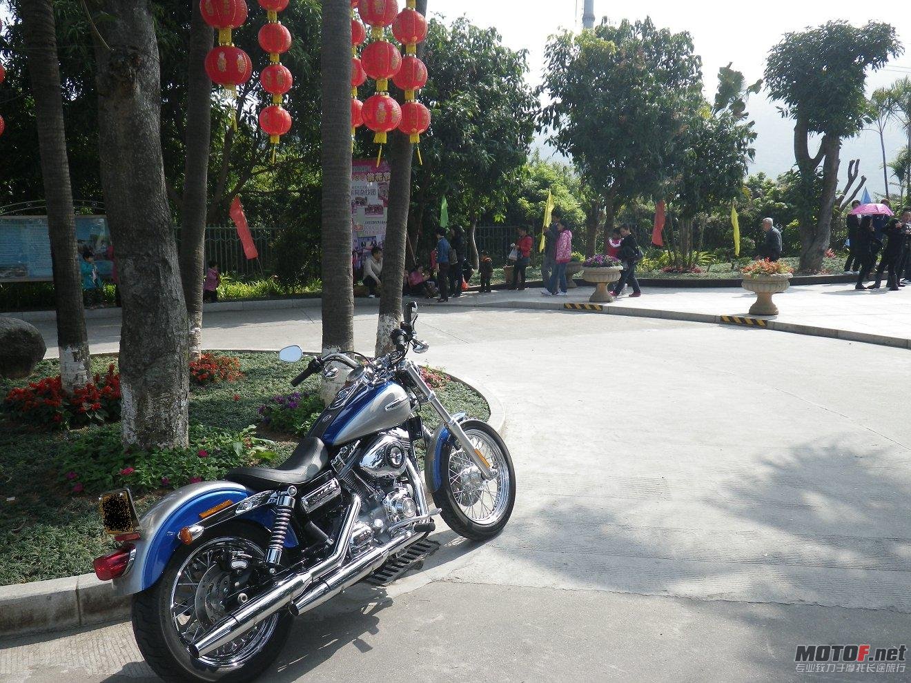 IMGP2251.JPG