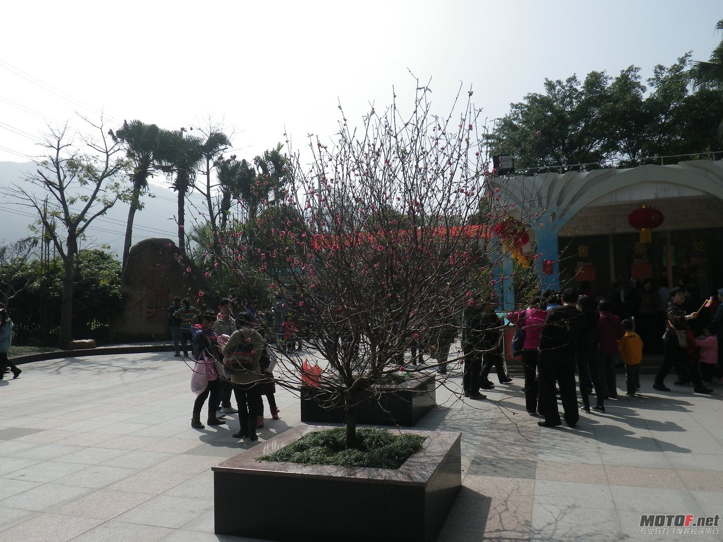 IMGP2253.JPG
