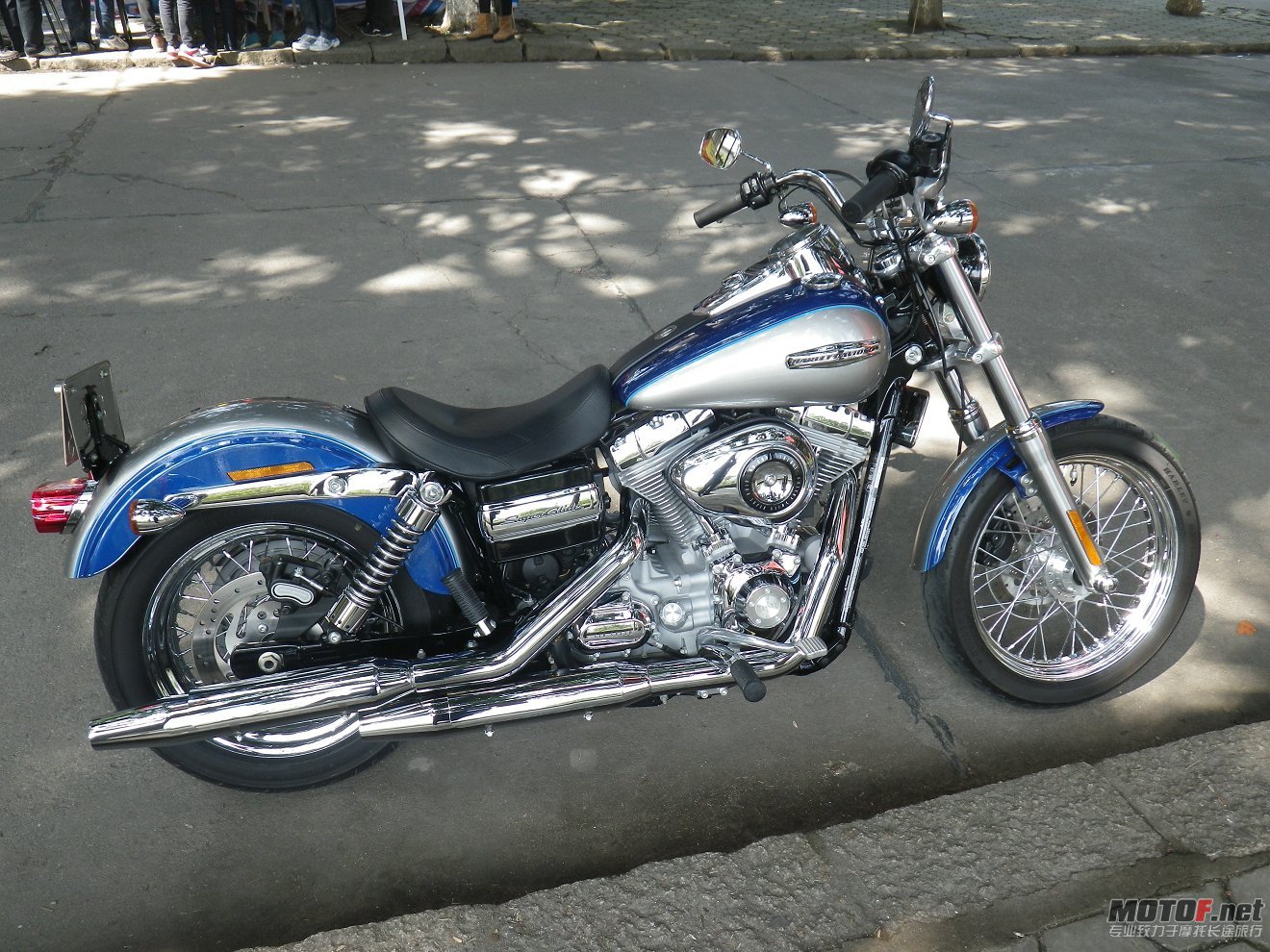 IMGP2257.JPG