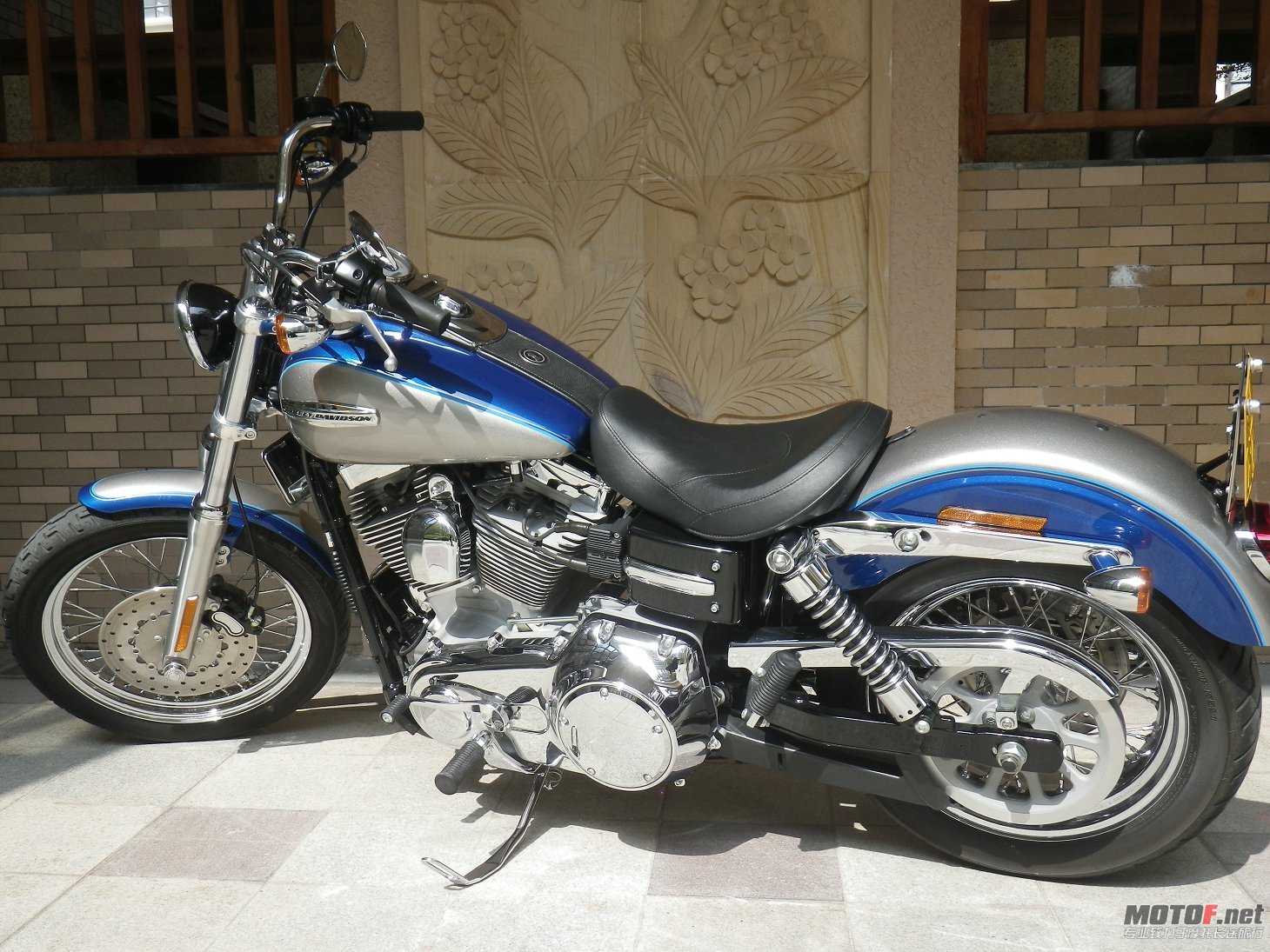 IMGP2273.JPG