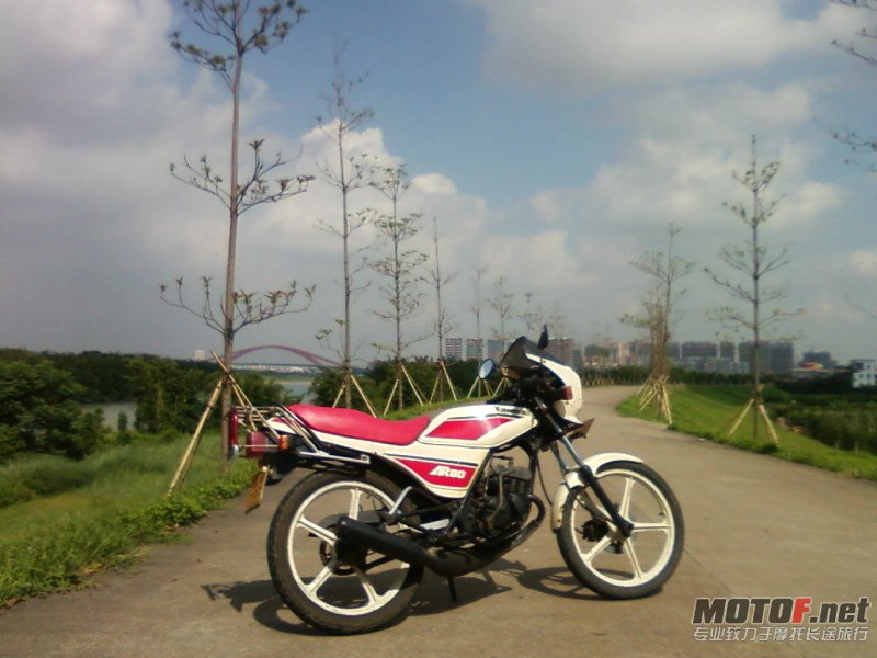 AR80.jpg