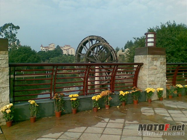 20120201(011).jpg