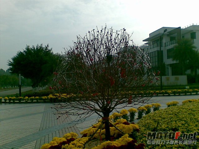 20120201(016).jpg