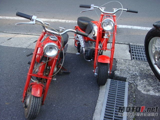 4f114bb3df4d9.jpg
