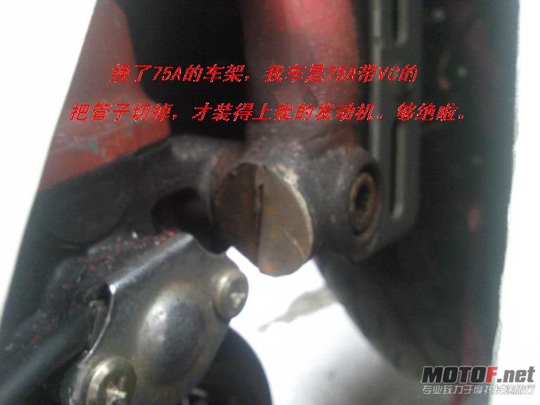 SNC00222.jpg