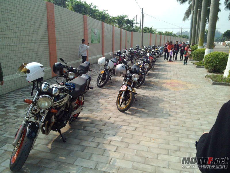F6.jpg