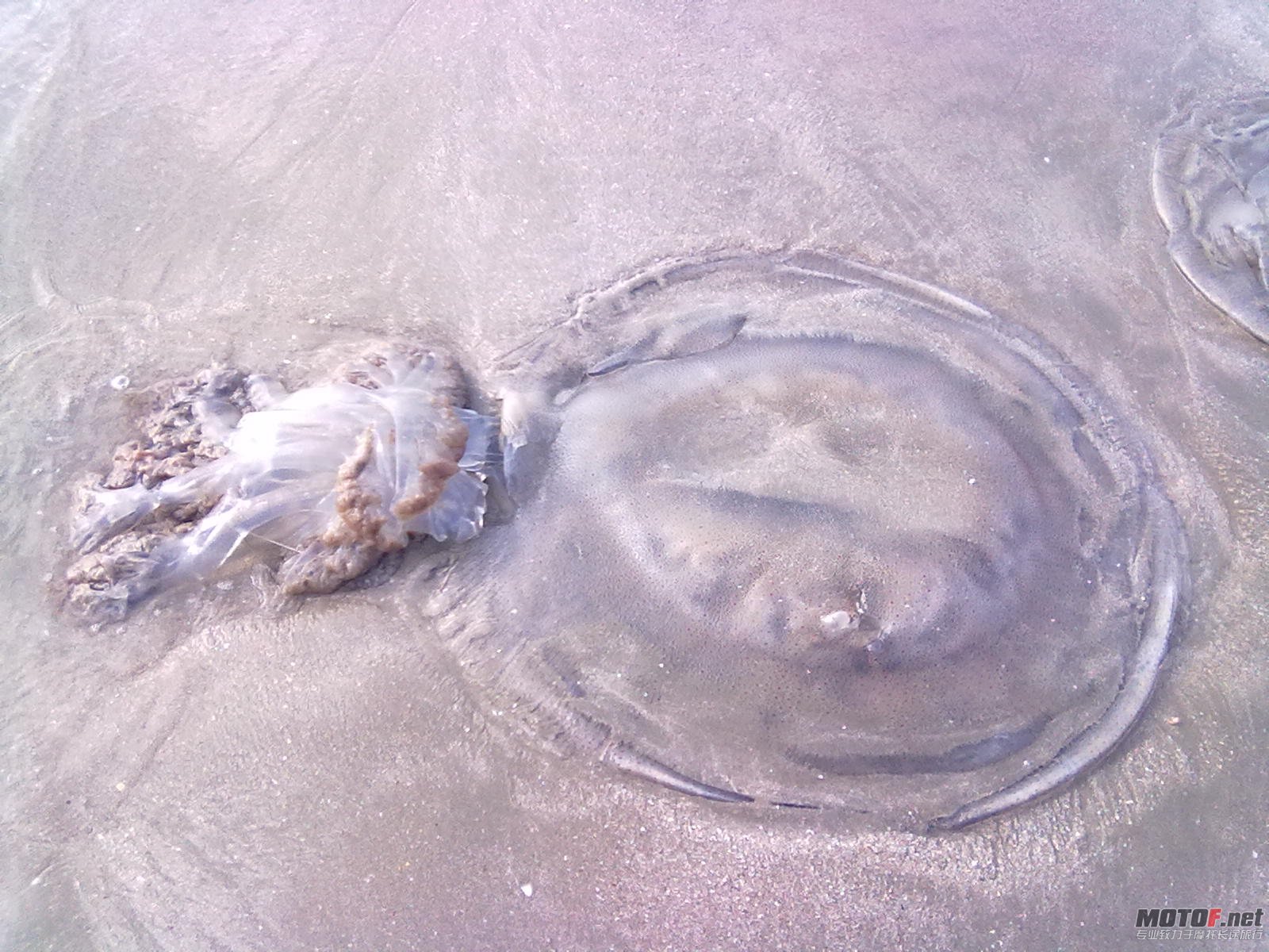 20120206524.jpg