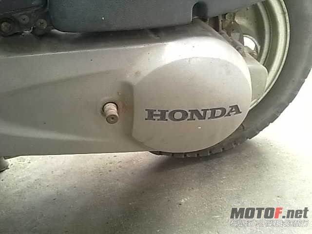 20120208838.jpg