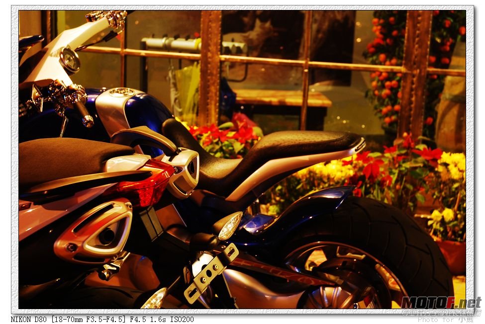 nEO_IMG_DSC_6526.jpg
