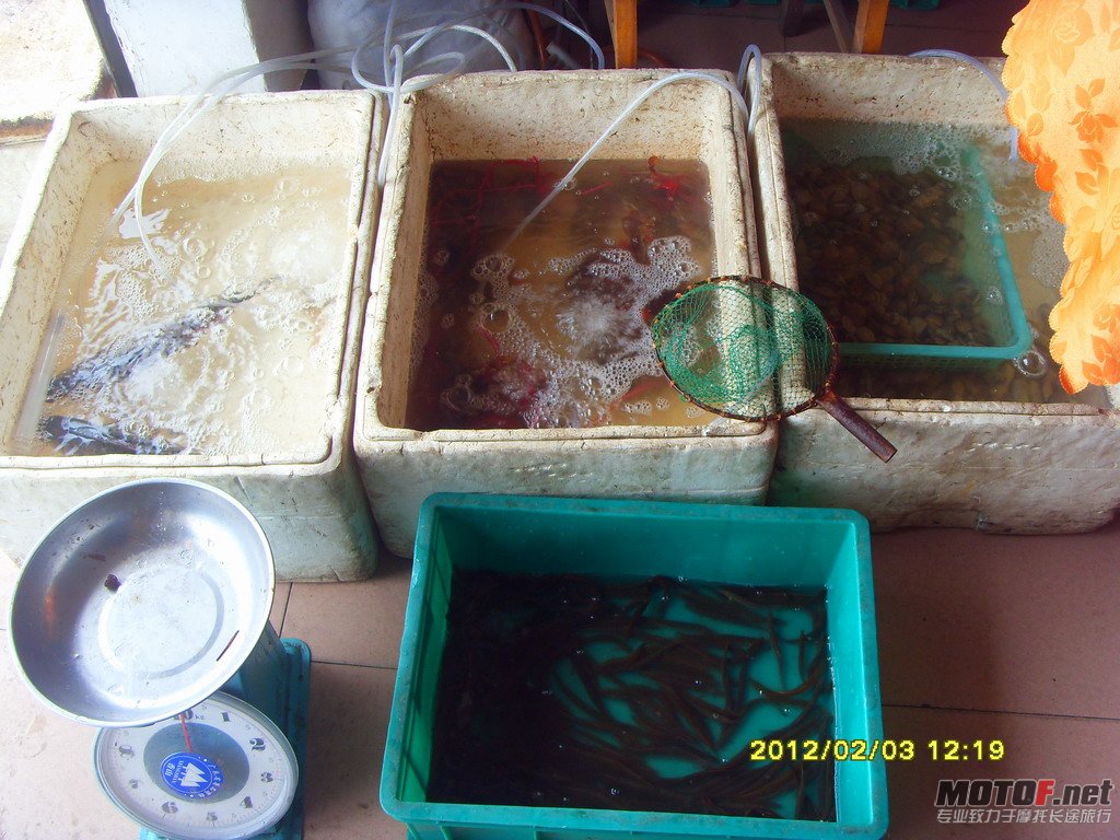 台山2天游 (52).JPG