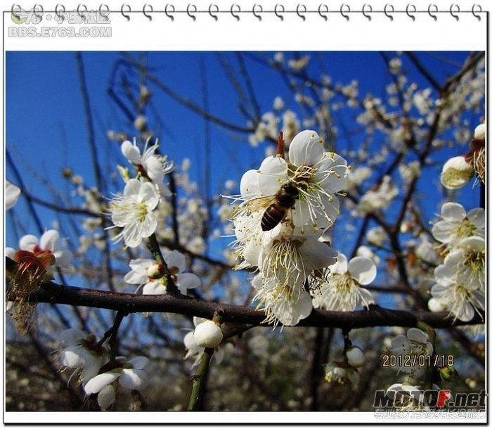 20120201_7bd066c3966f075bddd2eeJg7AQFTgYA.jpg