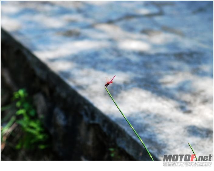 nEO_IMG_DSC_3816.jpg