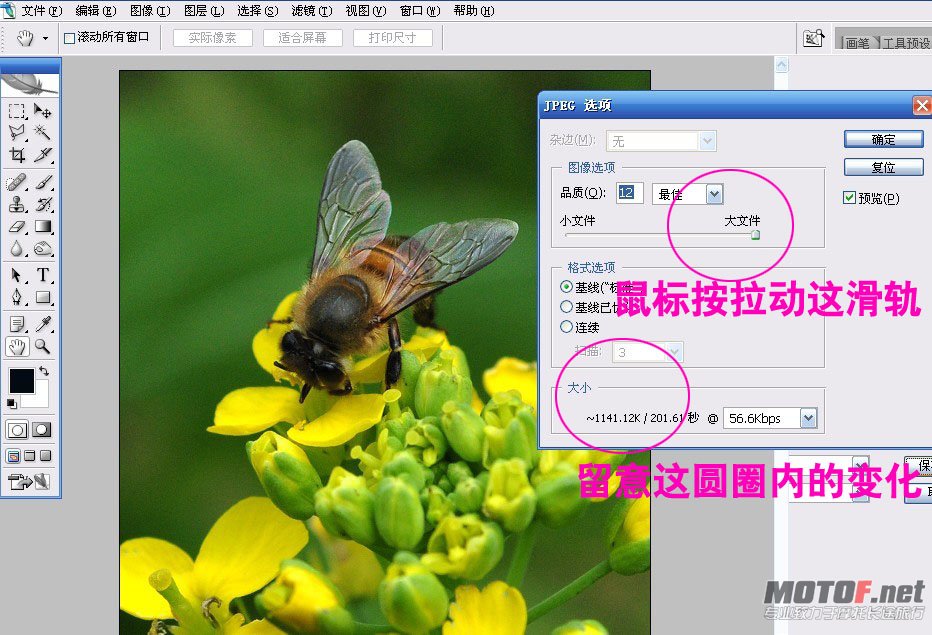 未命名051.jpg