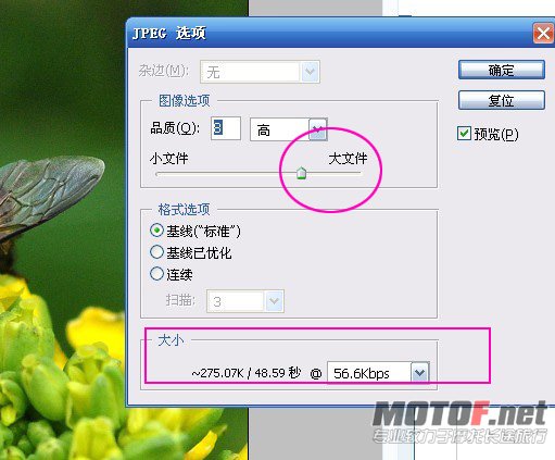 未命名052.jpg