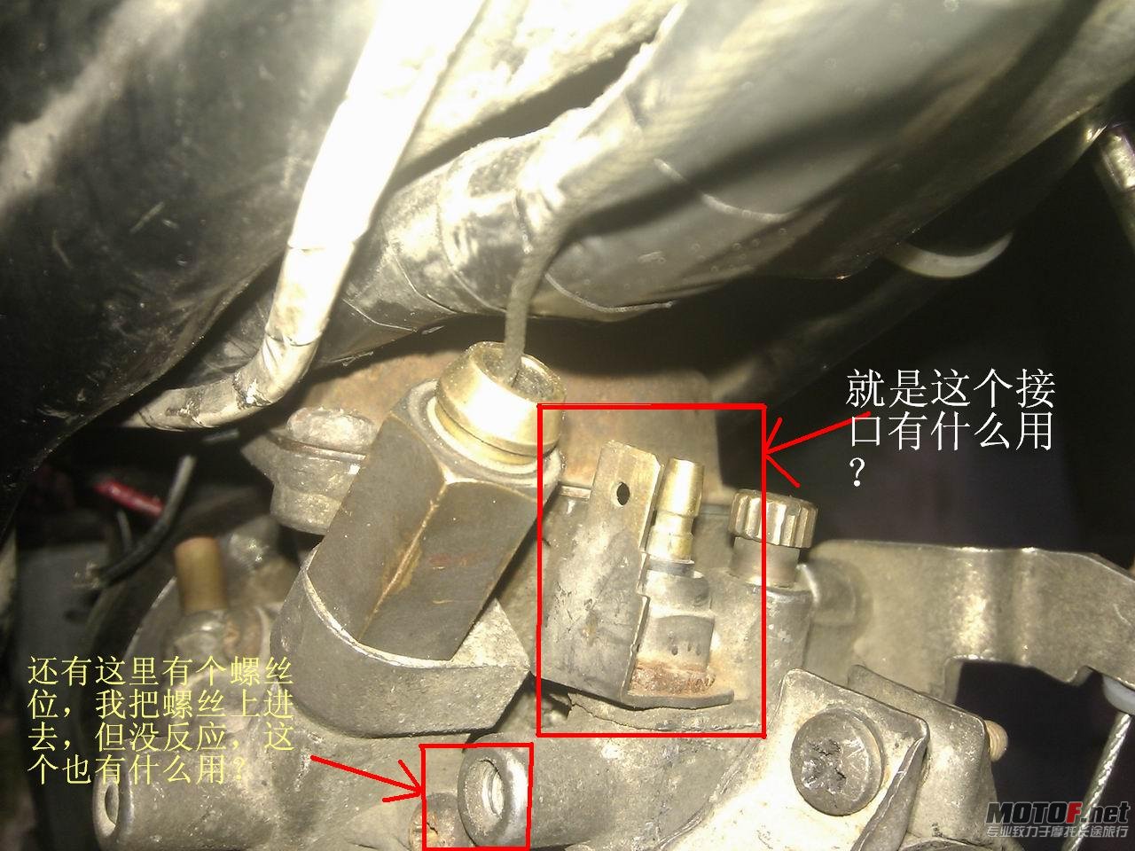 IMG_20120216_205845爱的.JPG