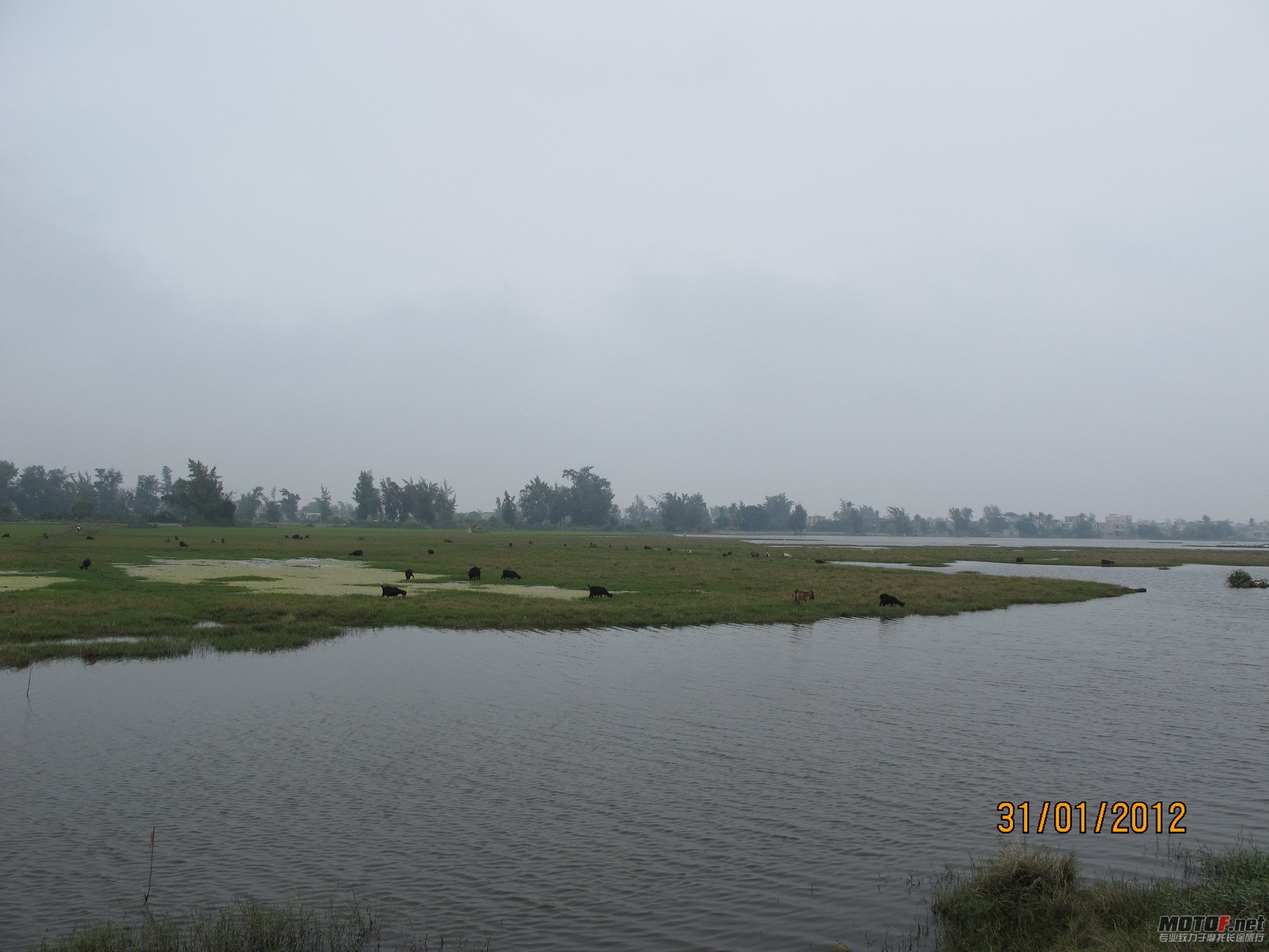 IMG_3893.jpg