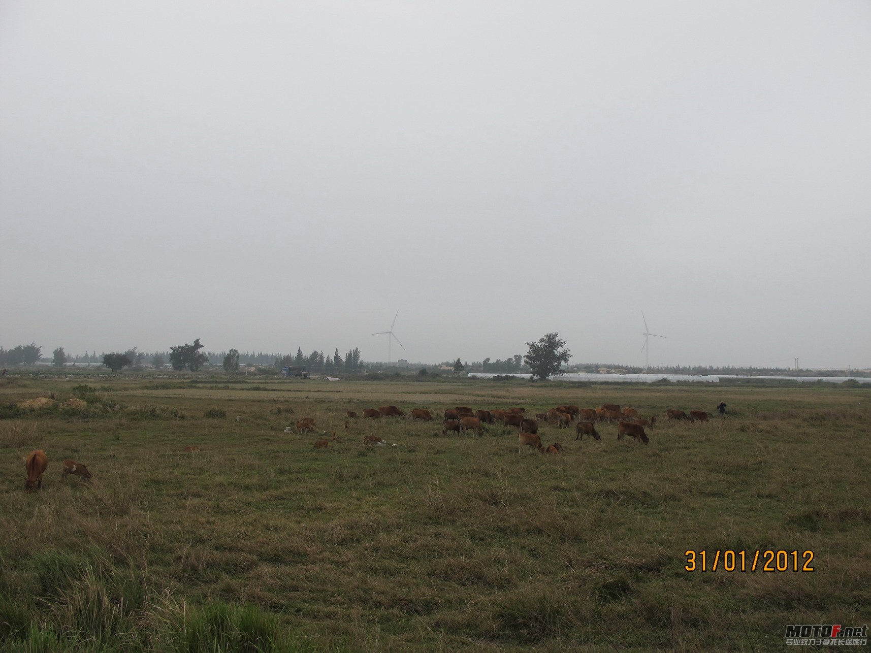 IMG_3901.jpg