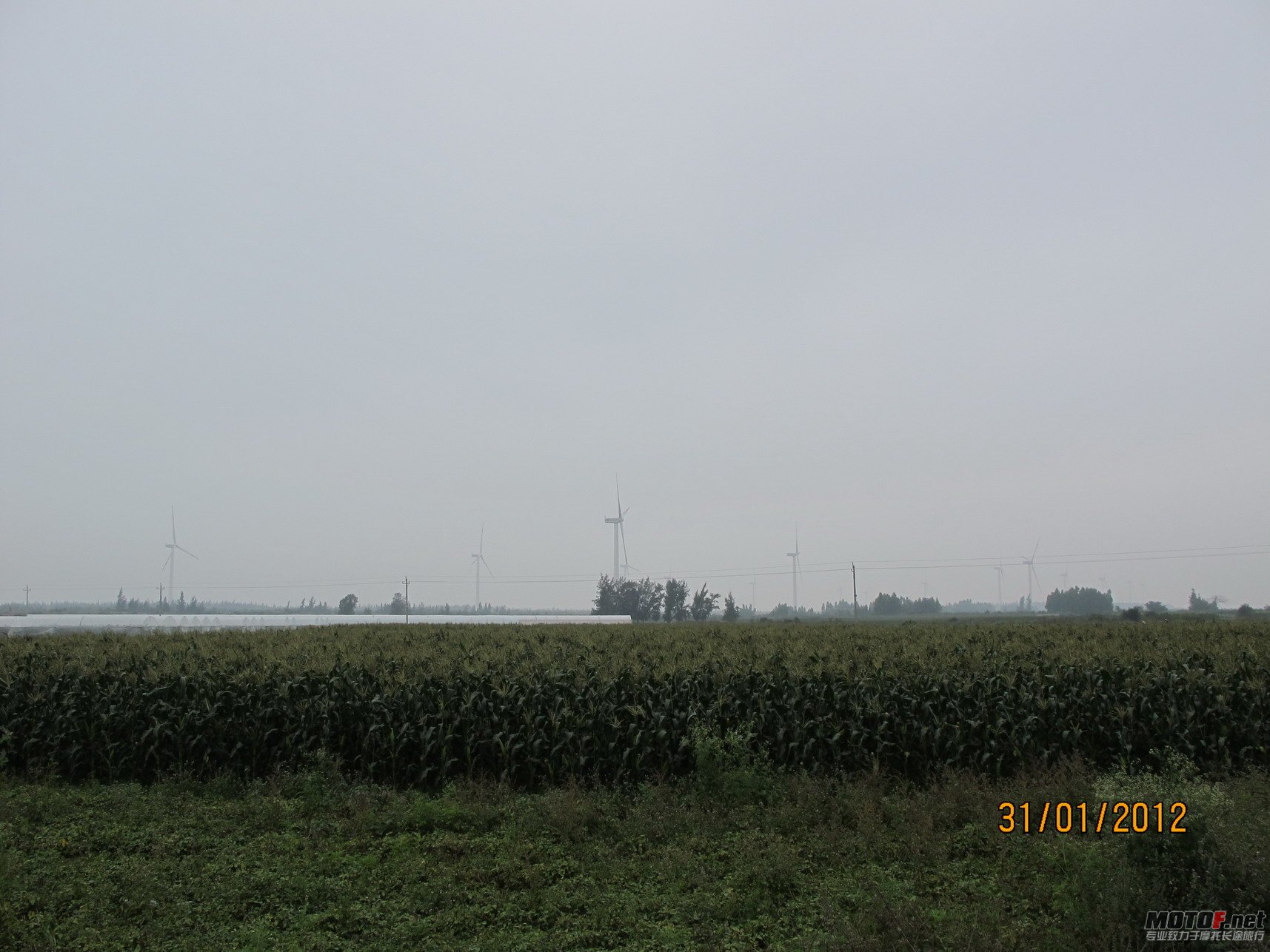 IMG_3905.jpg