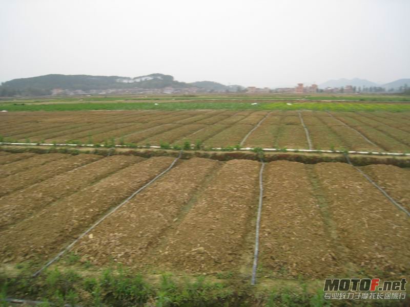 调整大小 IMG_5217.JPG