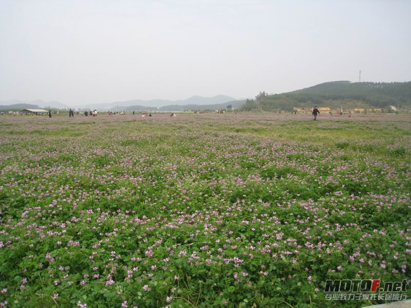 调整大小 IMG_5226.JPG