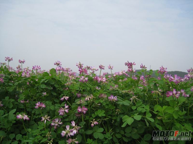 调整大小 IMG_5228.JPG