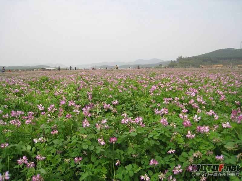 调整大小 IMG_5229.JPG