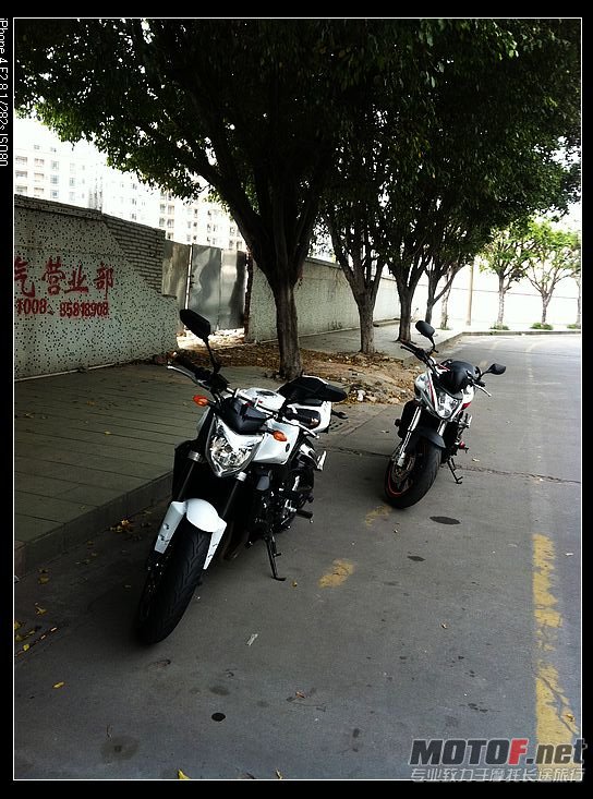 nEO_IMG_IMG_0486.jpg
