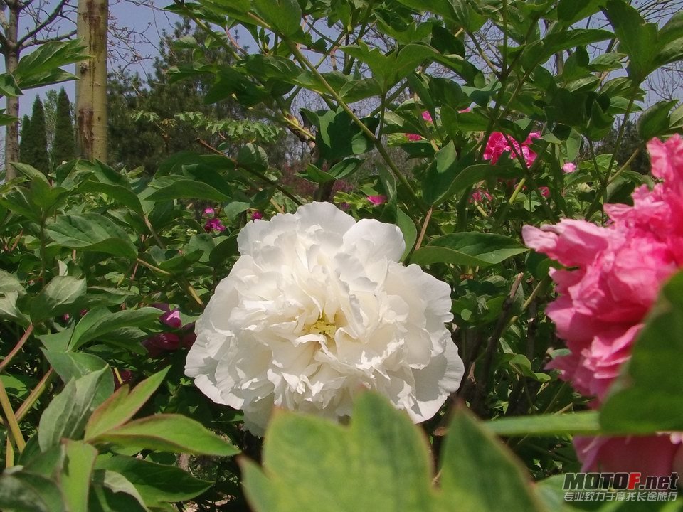 IMAG0223.JPG