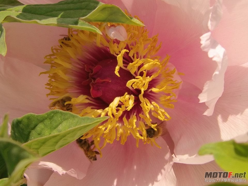 IMAG0234.JPG