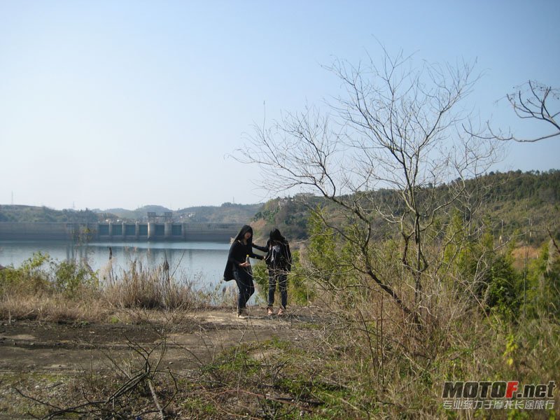 IMG_4849.jpg