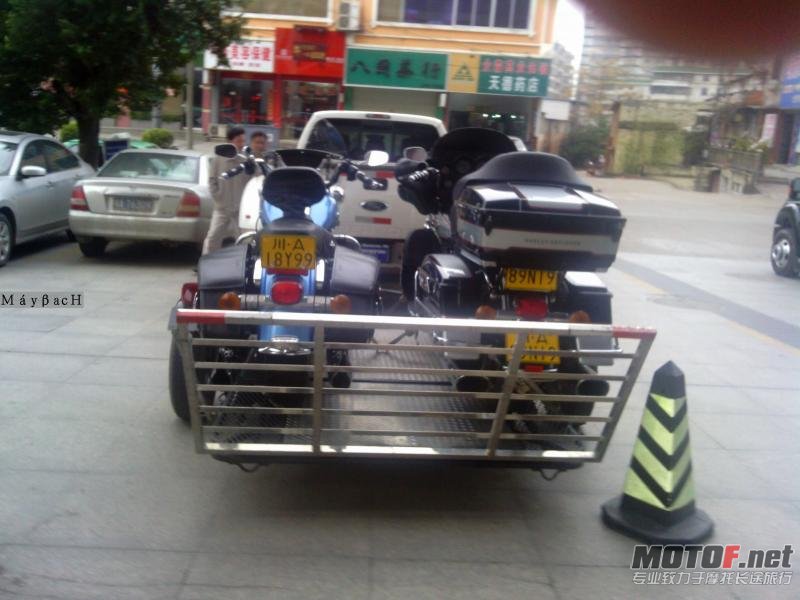 皮卡哈雷3.jpg