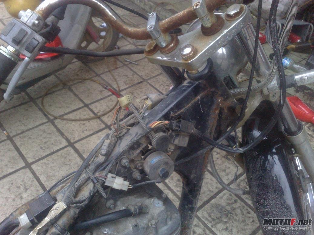 201202081229.jpg