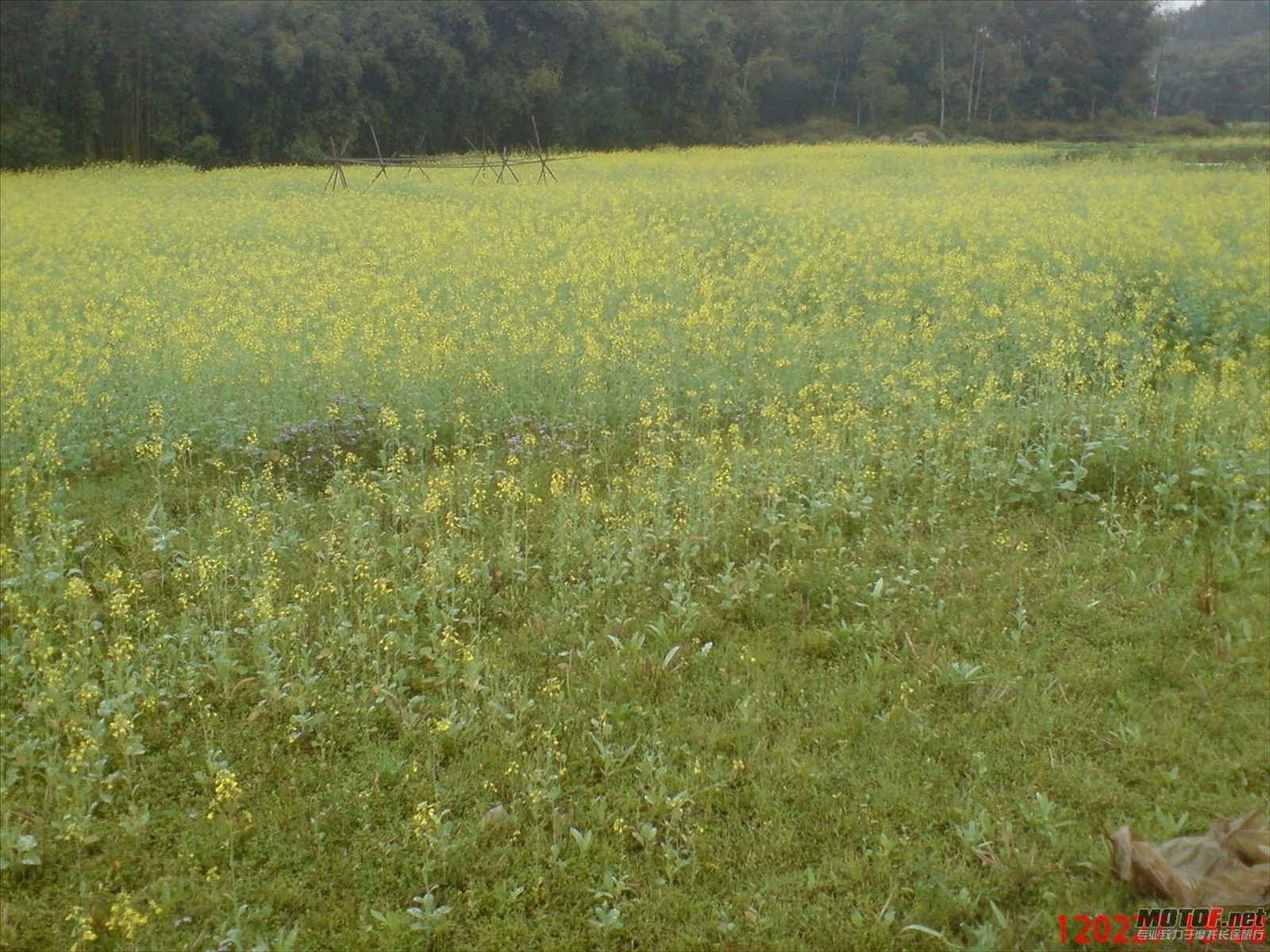 DSC00241.JPG