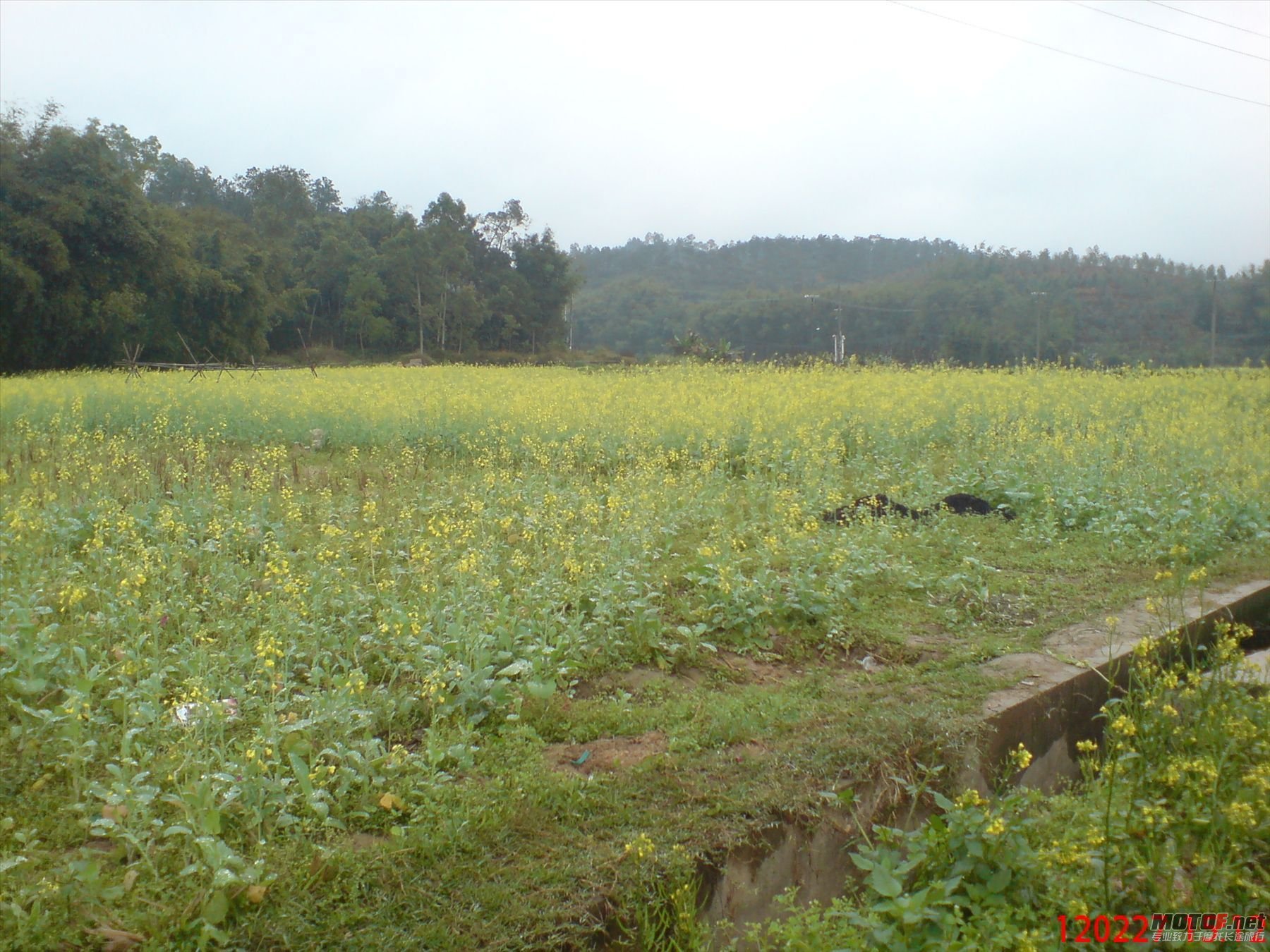 DSC00243.JPG