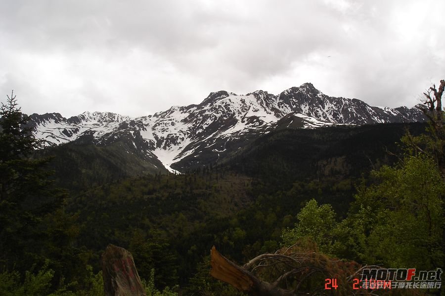 DSC01496.jpg